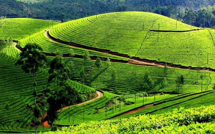 world tourism day, world tourism day 2016, tourism, tourism day, tourism day 2016, world tourism day 2016 india, tourism day 2016 india