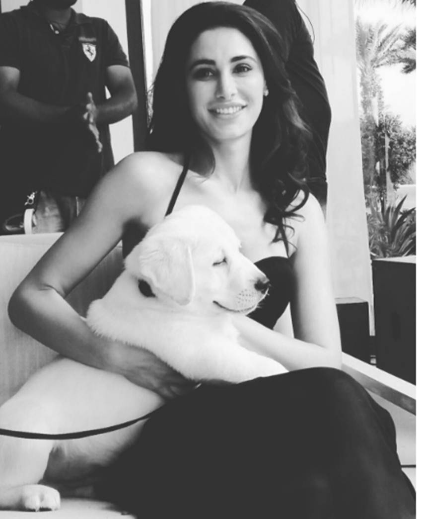 nargis-43