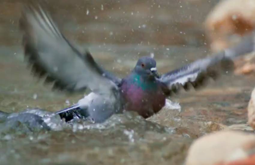 Photo Source-BBC
