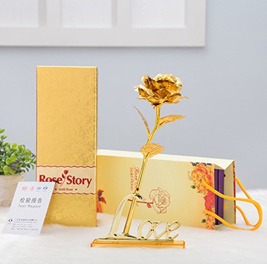 Image Source: Amazon.com