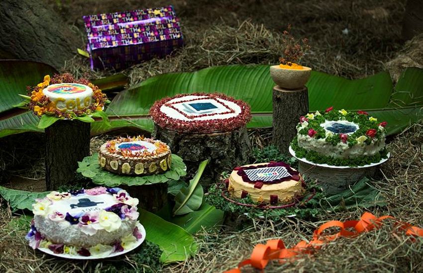 Colo, gorilla, US's oldest living gorilla,60th birthday, medical care, Columbus Zoo