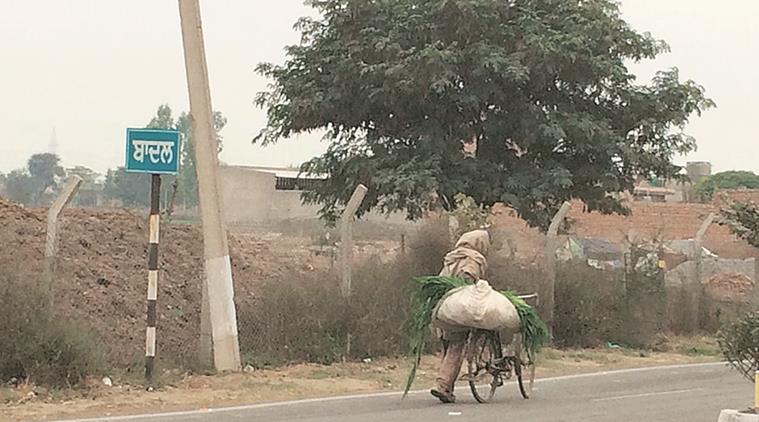 badal village, lambi