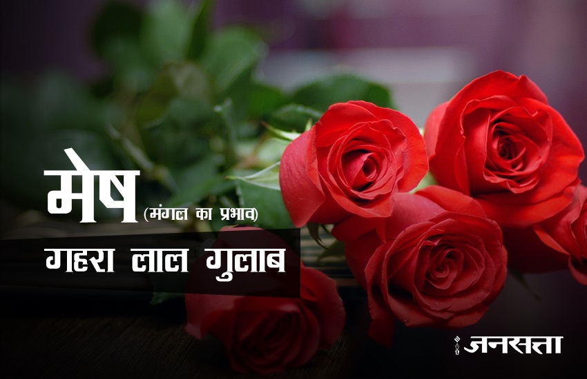 rose day, rose day 2017, valentine week, valentine week 2017, valentine week list, valentine week 2017 list, rose day images, rose for girlfriend, rose for biyfriend, rose for love, rose day messages, 7 feb, 7 feb 2017, 7 feb zodic signs, rose day 7 feb, happy rose day, happy rose day 2017, rose day updates