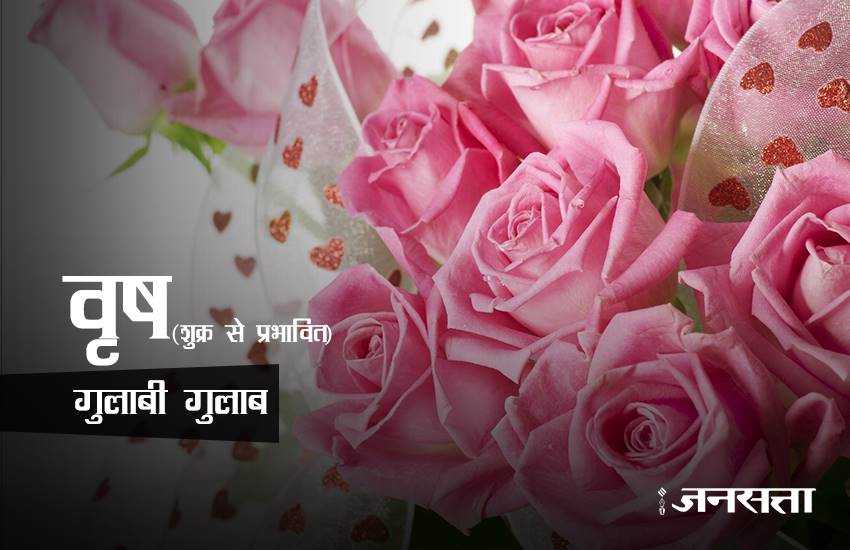 rose day, rose day 2017, valentine week, valentine week 2017, valentine week list, valentine week 2017 list, rose day images, rose for girlfriend, rose for biyfriend, rose for love, rose day messages, 7 feb, 7 feb 2017, 7 feb zodic signs, rose day 7 feb, happy rose day, happy rose day 2017, rose day updates