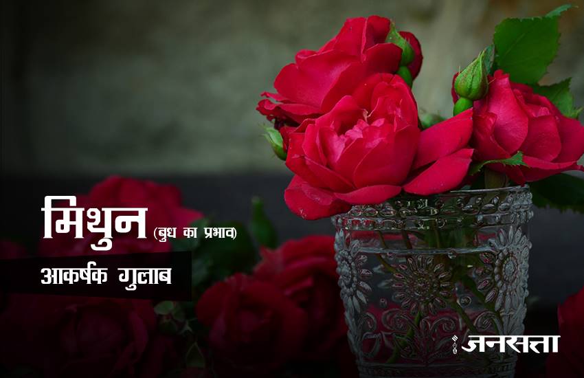 rose day, rose day 2017, valentine week, valentine week 2017, valentine week list, valentine week 2017 list, rose day images, rose for girlfriend, rose for biyfriend, rose for love, rose day messages, 7 feb, 7 feb 2017, 7 feb zodic signs, rose day 7 feb, happy rose day, happy rose day 2017, rose day updates