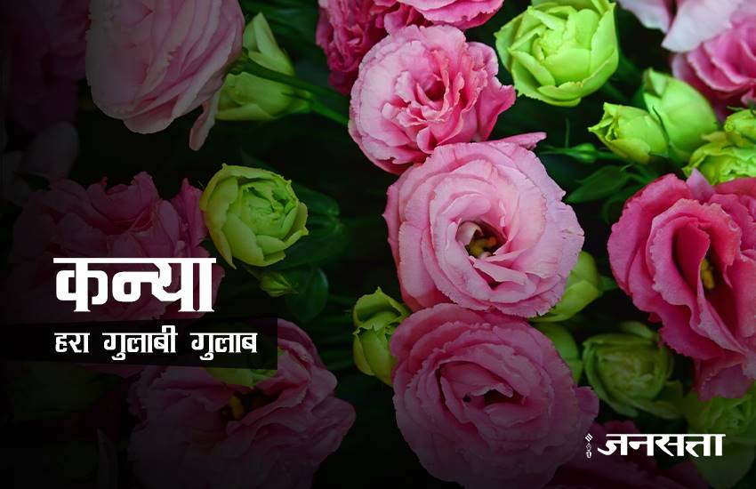 rose day, rose day 2017, valentine week, valentine week 2017, valentine week list, valentine week 2017 list, rose day images, rose for girlfriend, rose for biyfriend, rose for love, rose day messages, 7 feb, 7 feb 2017, 7 feb zodic signs, rose day 7 feb, happy rose day, happy rose day 2017, rose day updates