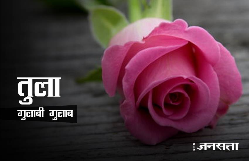 rose day, rose day 2017, valentine week, valentine week 2017, valentine week list, valentine week 2017 list, rose day images, rose for girlfriend, rose for biyfriend, rose for love, rose day messages, 7 feb, 7 feb 2017, 7 feb zodic signs, rose day 7 feb, happy rose day, happy rose day 2017, rose day updates