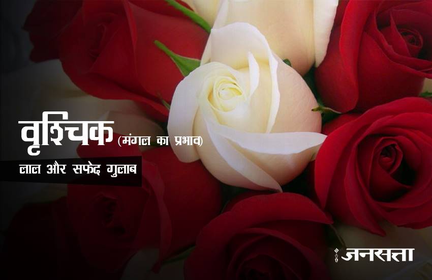 rose day, rose day 2017, valentine week, valentine week 2017, valentine week list, valentine week 2017 list, rose day images, rose for girlfriend, rose for biyfriend, rose for love, rose day messages, 7 feb, 7 feb 2017, 7 feb zodic signs, rose day 7 feb, happy rose day, happy rose day 2017, rose day updates