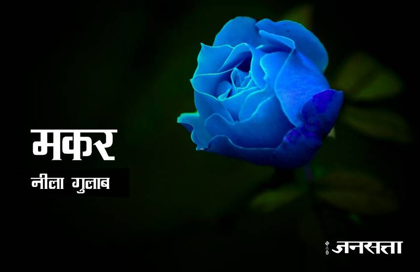 rose day, rose day 2017, valentine week, valentine week 2017, valentine week list, valentine week 2017 list, rose day images, rose for girlfriend, rose for biyfriend, rose for love, rose day messages, 7 feb, 7 feb 2017, 7 feb zodic signs, rose day 7 feb, happy rose day, happy rose day 2017, rose day updates