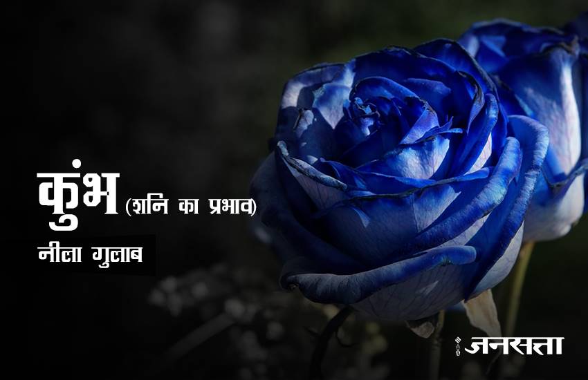 rose day, rose day 2017, valentine week, valentine week 2017, valentine week list, valentine week 2017 list, rose day images, rose for girlfriend, rose for biyfriend, rose for love, rose day messages, 7 feb, 7 feb 2017, 7 feb zodic signs, rose day 7 feb, happy rose day, happy rose day 2017, rose day updates