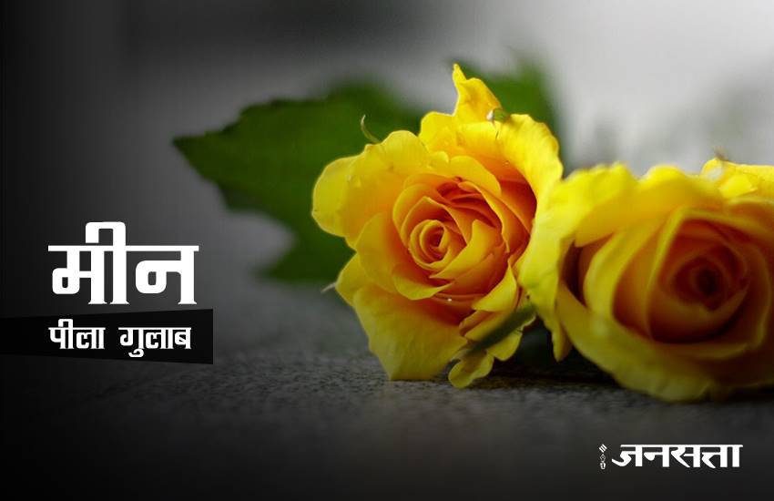 rose day, rose day 2017, valentine week, valentine week 2017, valentine week list, valentine week 2017 list, rose day images, rose for girlfriend, rose for biyfriend, rose for love, rose day messages, 7 feb, 7 feb 2017, 7 feb zodic signs, rose day 7 feb, happy rose day, happy rose day 2017, rose day updates