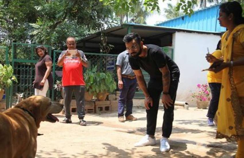 Virat Kolhi, celebrates, Easter, adopting, 15 Dogs, CARE, India, Captain, Charlie’s Animal Rescue Centre