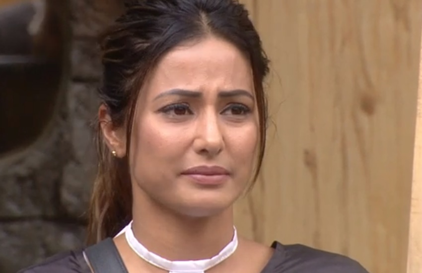 bigg boss, bigg boss 11, hina khan, actress hina khan, priyank sharme, luv tyagi, swami om, KRK, Bigg boss is fix, diandra soares. bigg boss 10, diandra bigg boss, salman khan, bigg boss, swami om, jansatta