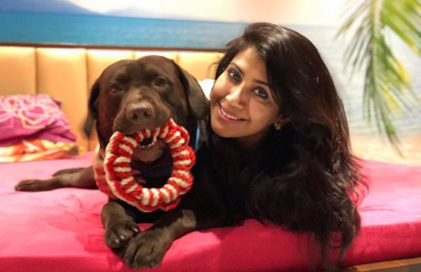 Karan, Karan patel, actor Karan patel, tv actor karan patel, karan married Ankita Bhargava, actress Ankita Bhargava, tv actress Ankita Bhargava, Ankita Bhargava, Ekta Kapoor, Divyanka Tripathi, actress Divyanka Tripathi, tv actress Divyanka Tripathi, Balaji Telefilms, Kahaani Ghar Ghar Kii, star plus, naughty patel, karan pet dog naughty patel, ankita bhargav pet dog naughty patel, Kasautii Zindagii Kay, Kasamh Se, Ye Hai Mohabbatein, star plus show Ye Hai Mohabbatein, raman bhalla, ishita, karan patel ankita marriage sotry, ankita reveals her marriage sotry, television, entertainment, jansatta