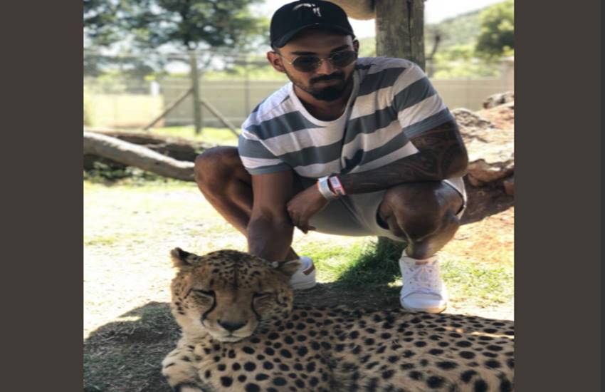 Indian cricketer KL Rahul share pic with leopard, users troll, India vs South Africa, Indian cricketer KL Rahul, KL Rahul, KL Rahul twitter, IND vs SA