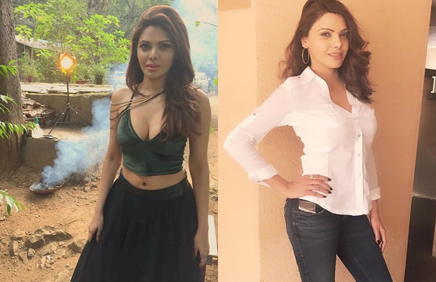 Sherlyn chopra,sherlyn chopra birthday, 11 february,birthday specials, sherlyn chopra controversy, playboy magazine, Bollywood news, Entertainment news