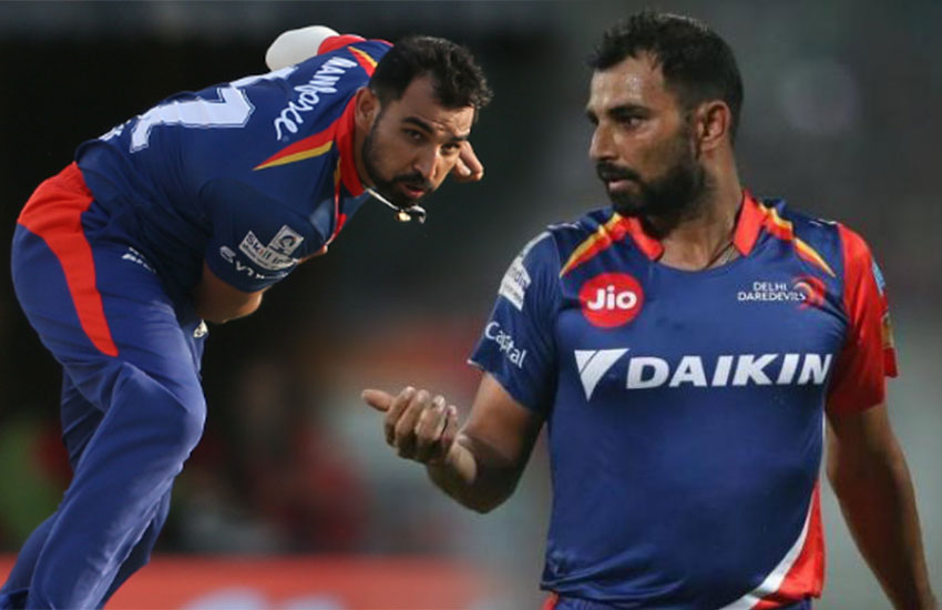 shami-delhi-daredevils