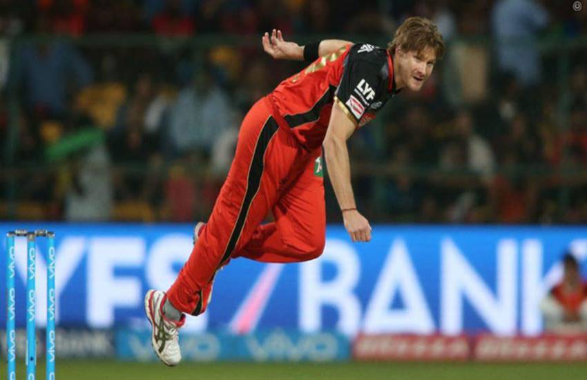 shane watson