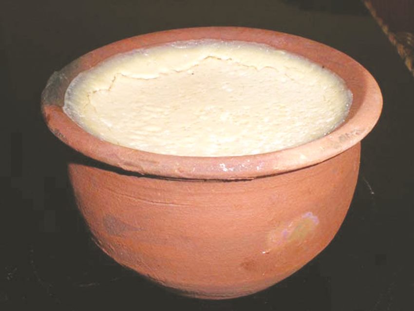  mishti doi, mishti doi recipe in hindi, mishti doi benefits, bengali recipe, bengali breakfast recipe, luchi recipe in hindi, meethi dal banane ki vidhi, jansatta ravivari, dana paani