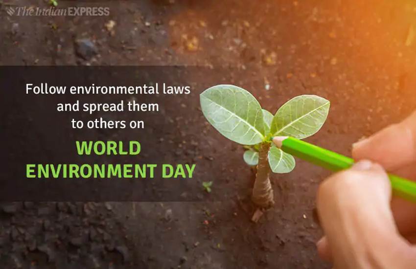 world environment day 