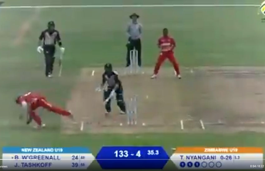 VIDEO जिम्बाब्वे के 17 साल के विकेटकीपर डेन शैडेनडोर्फ ने इस अंदाज में