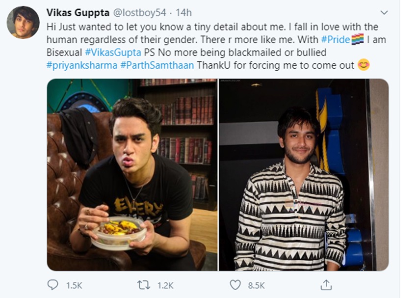 vikas gupta, vikas gupta bisexual, bigg boss 11, priyank sharma