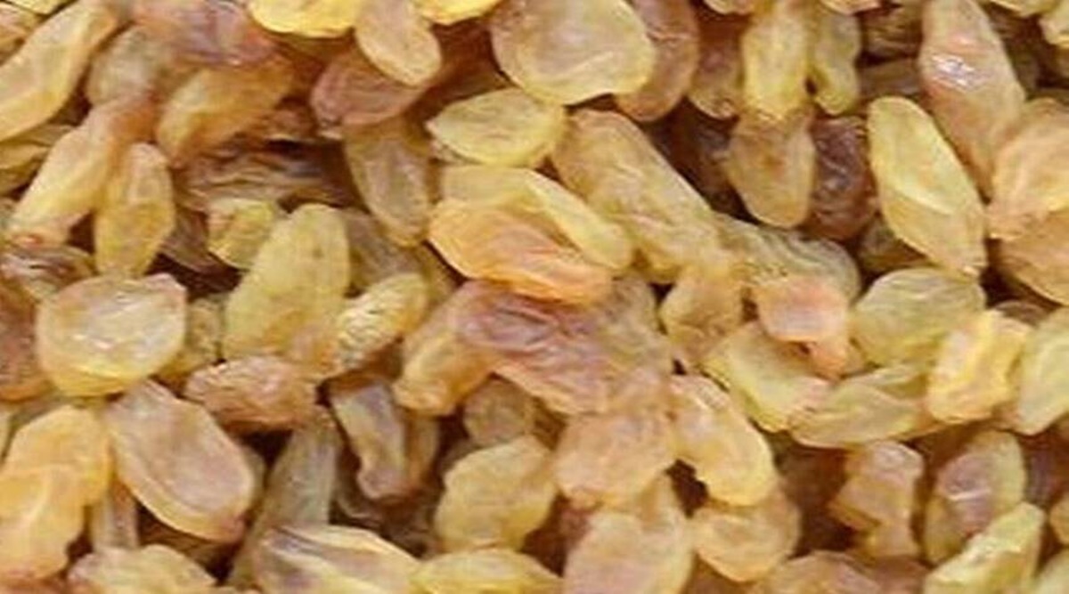 Can uric acid patients eat raisins क्या Uric Acid के मरीज खा सकते हैं किशमिश? जानिये Jansatta