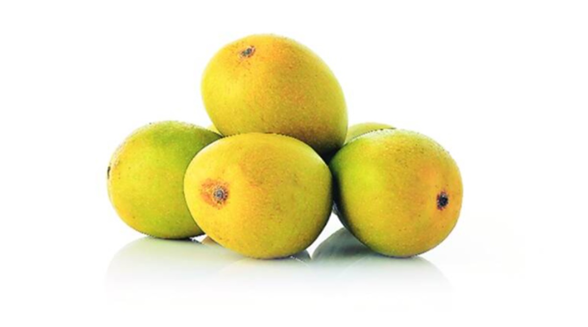 Can High Uric Acid Patient Eat Mango Know What Experts Say क्या यूरिक