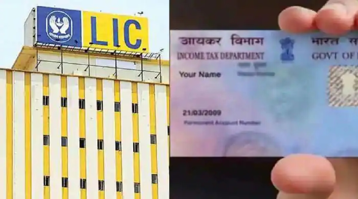 If you want to invest money in LIC IPO then update your PAN card know