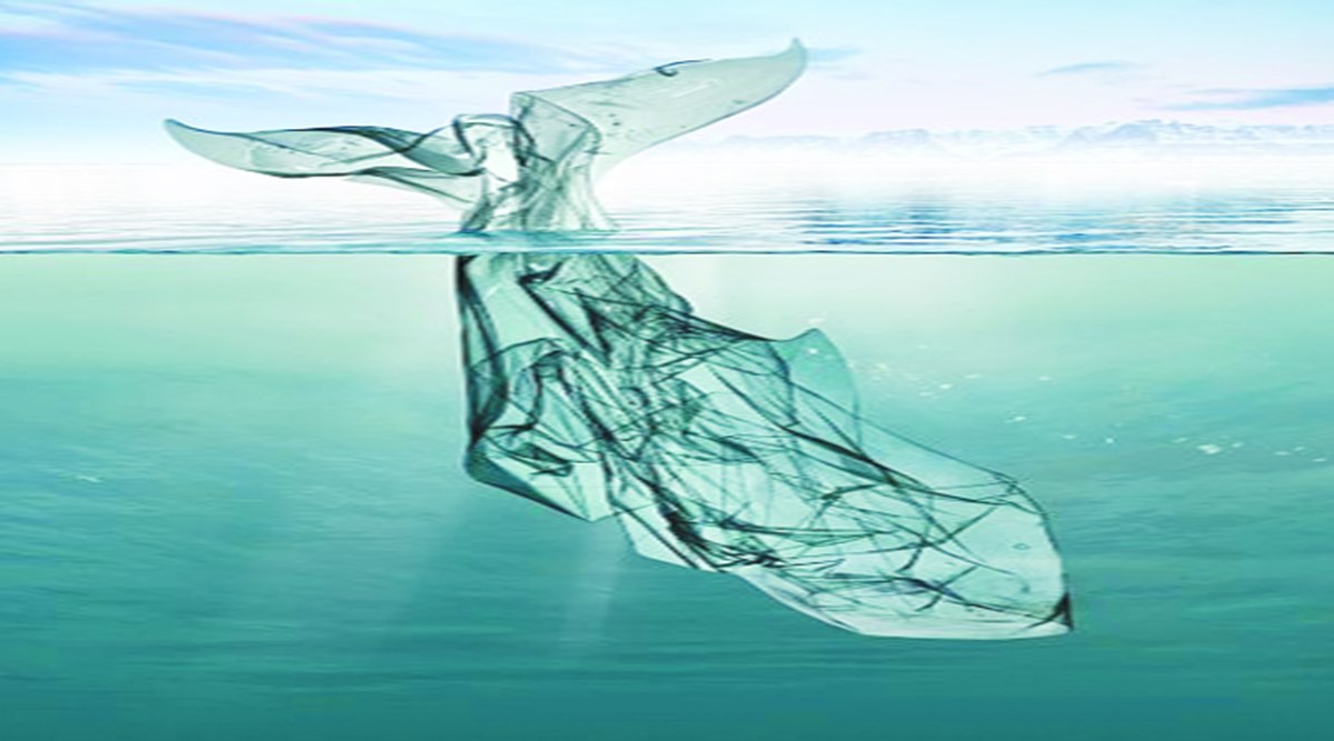 Plastic ban News Plastic ban News in Hindi, Photos, Latest News