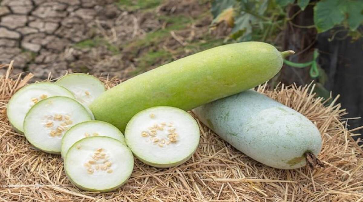 Side Effects of Ash Gourd acts like poison in these 3 diseases know