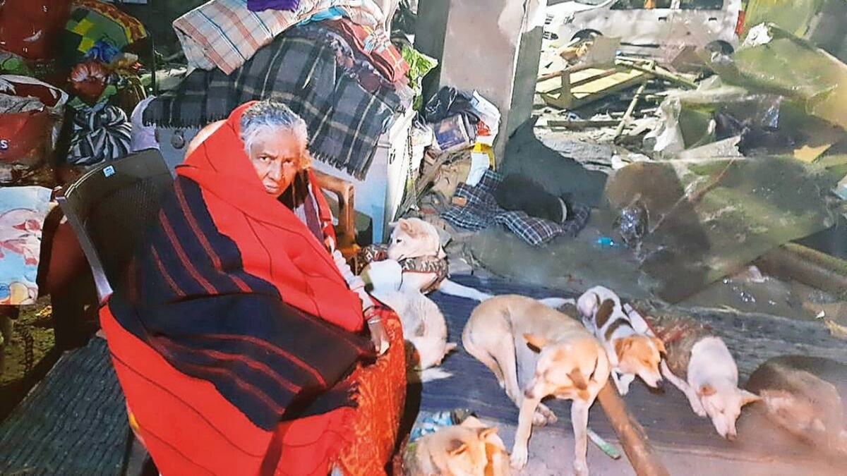 Dog Care Shelter 80yearold Amma Pratima Devi of nandigram Bengal has