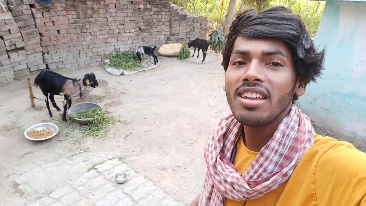 Sonu Sood commented Bihar boy song viral video on social media इस