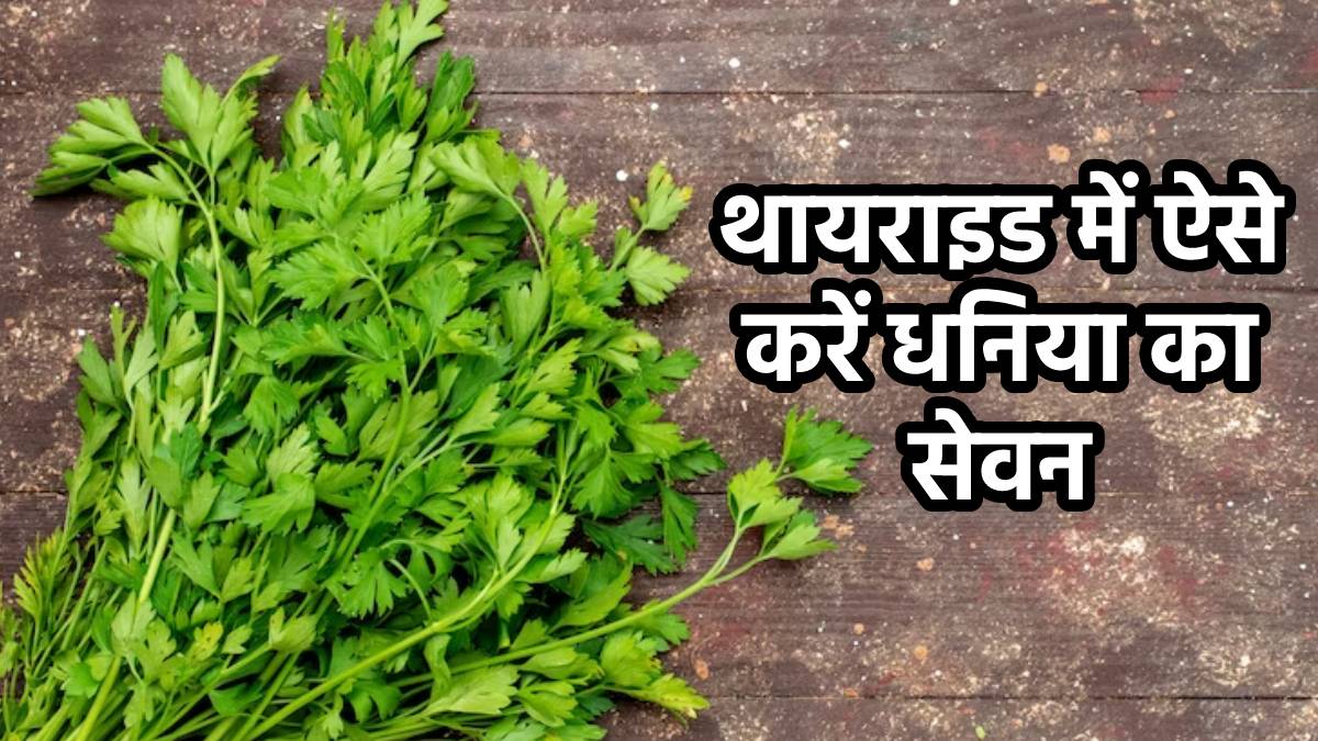 green coriander for thyroid। Benefits of green coriander। थायराइड को