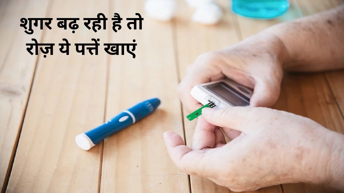 Fenugreek Leaves reduced blood sugar bad cholesterol level and control