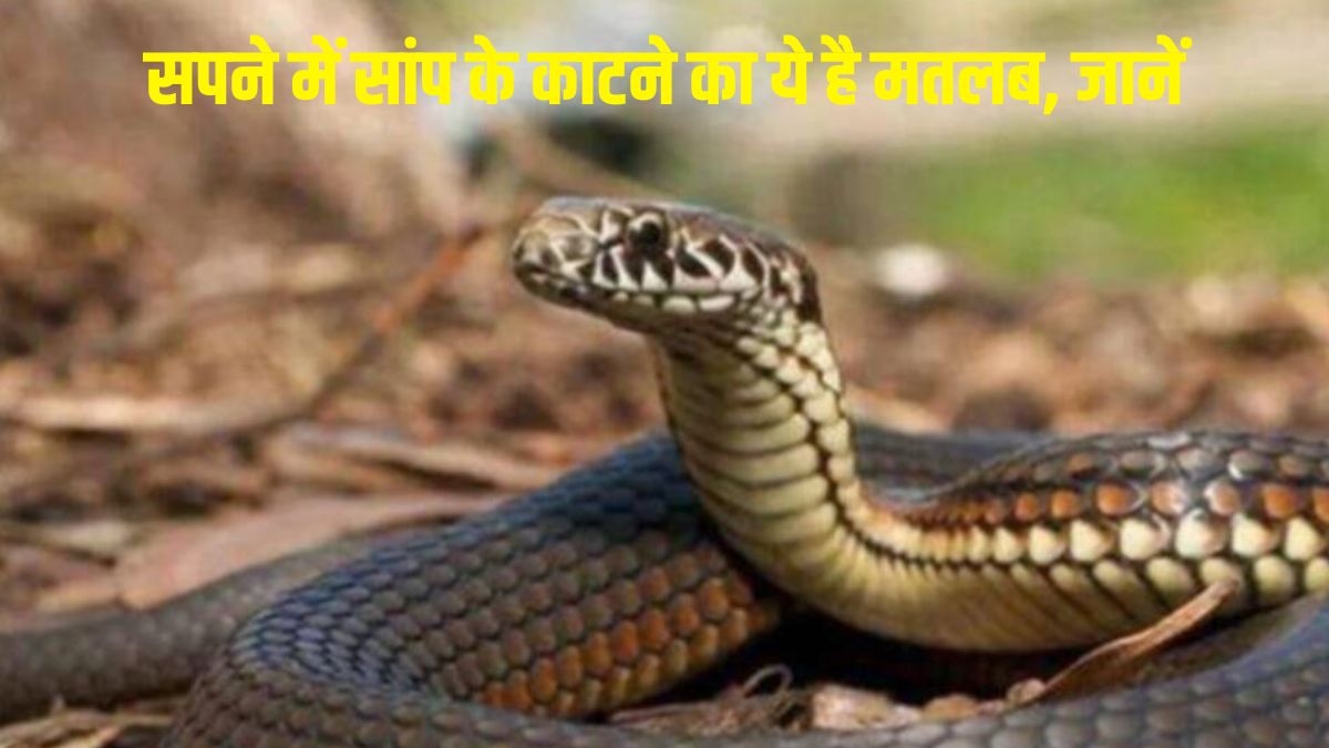 snake bite in dream meaning sapne me saap ka katna according to dream interpretationसपने में