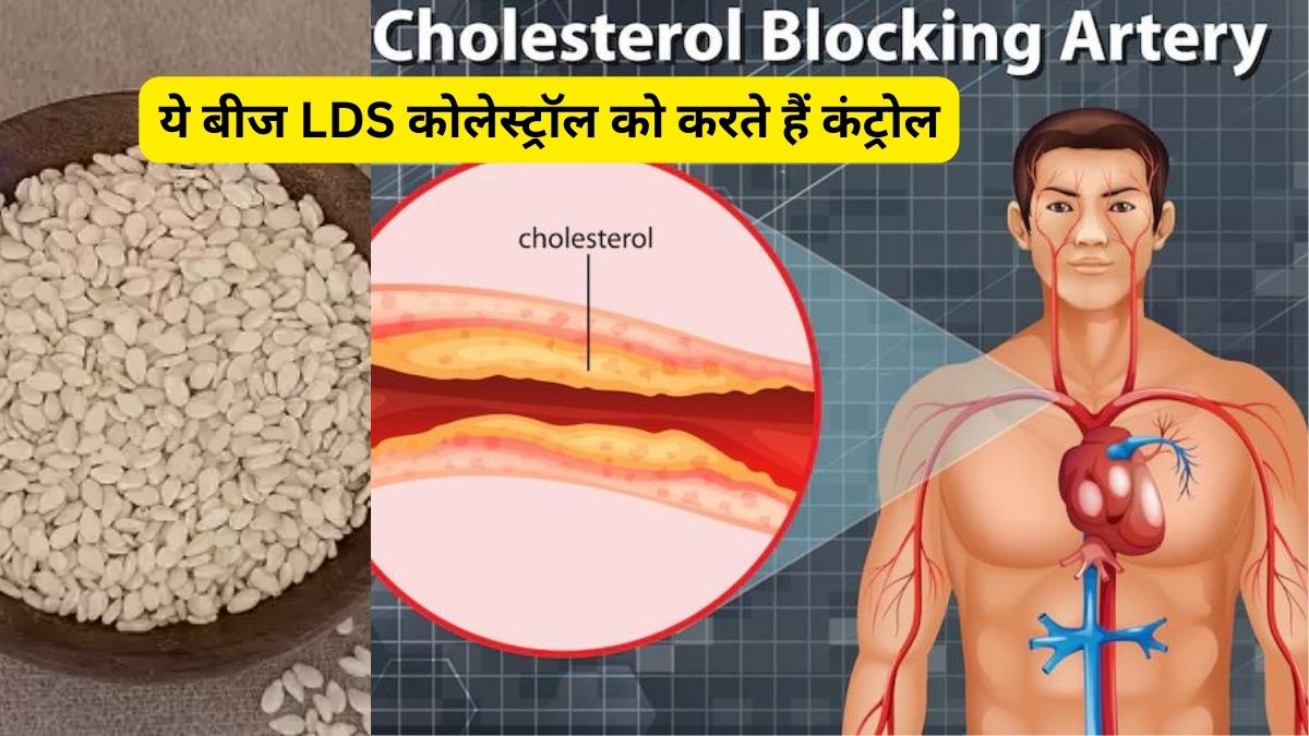Amazing health benefits of white sesame for LDL cholesterol control