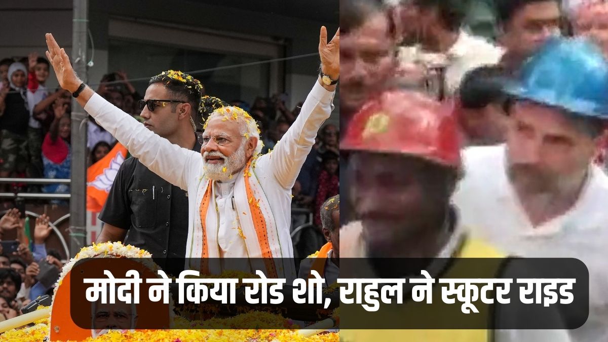 panda bamboo bicycle