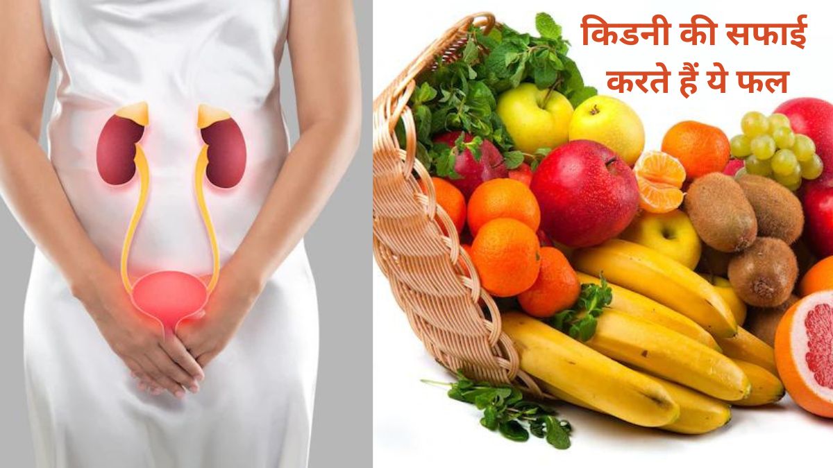 These 4 fruits can improve kidney health, will clean the blood faster, heart will also remain
