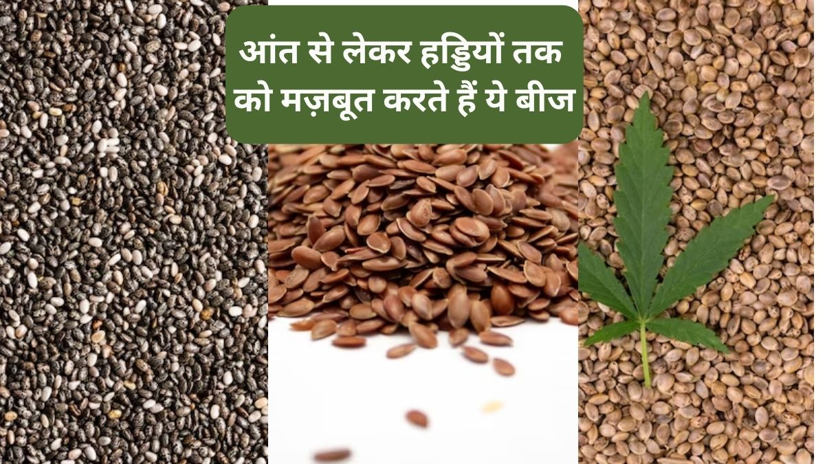 Nutritional Profile of Chia, Flax and Hemp Seeds, Know from Expert How