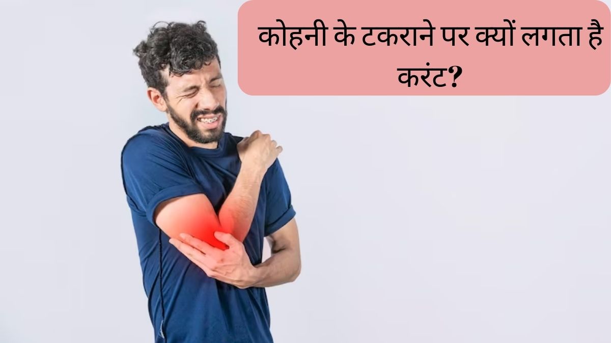 Funny Bone Fact Why We Experience Shock or current When Our Elbow Hits a Hard Surface know