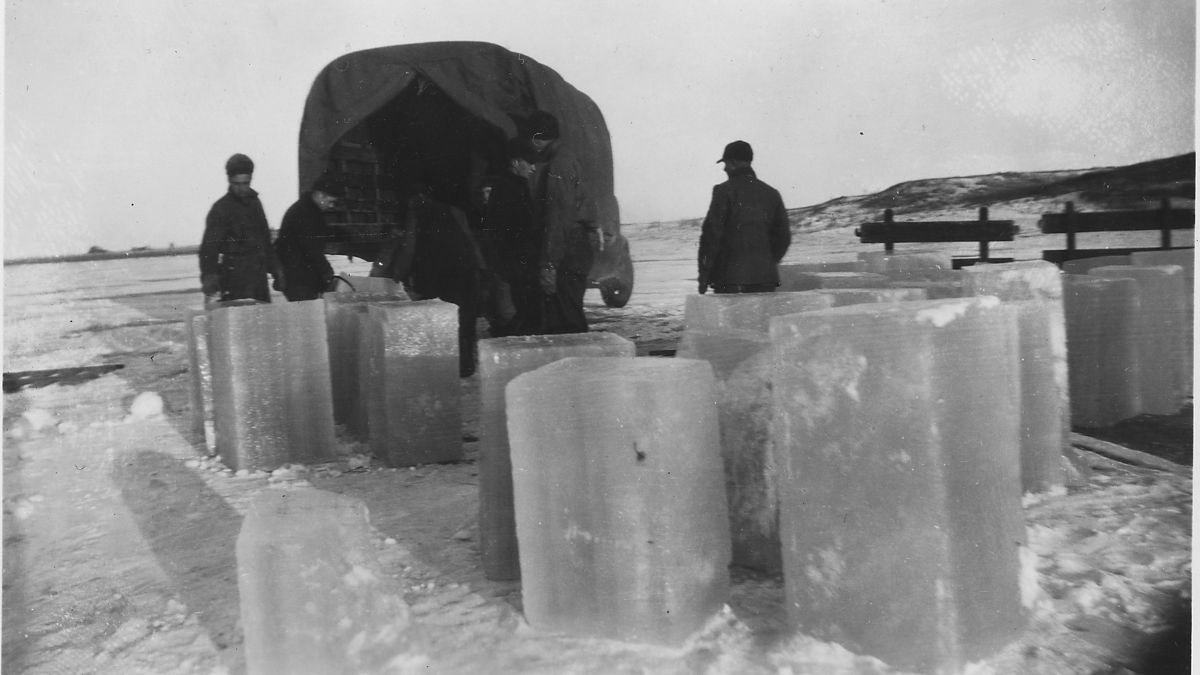 When ice used to be a luxury item know history जब बर्फ लक्जरी आइटम