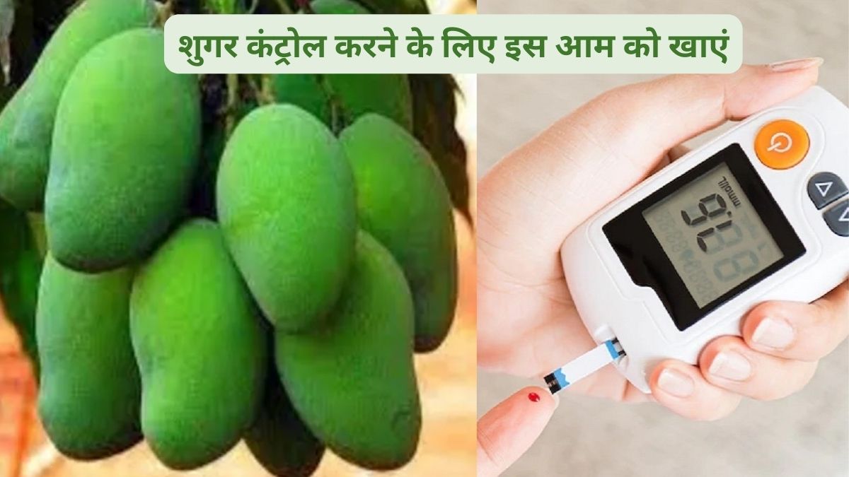 Diabetes patients should eat raw mango, sugar will remain control, low