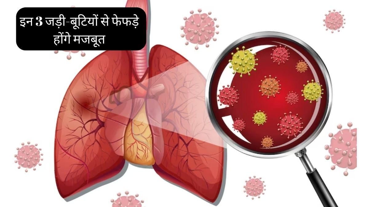 These 3 herbs quickly clean the dirt accumulated in lungs Know Long
