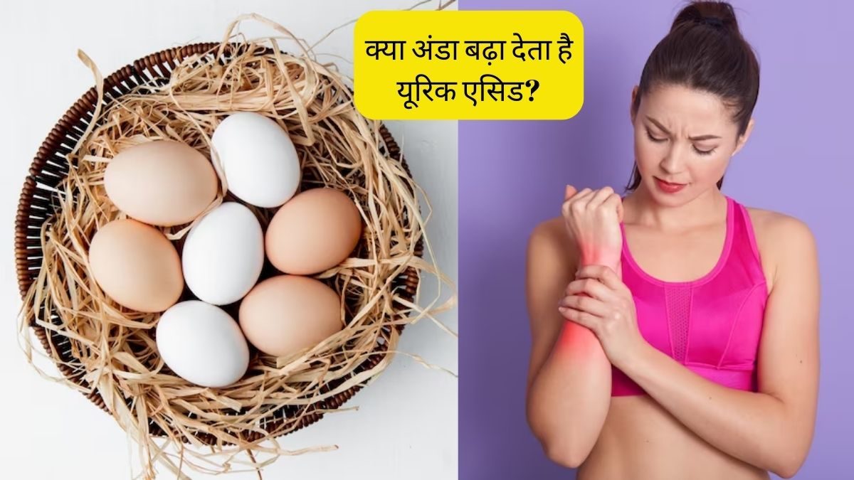 Does eating eggs increase uric acid levels Know How dangerous is for