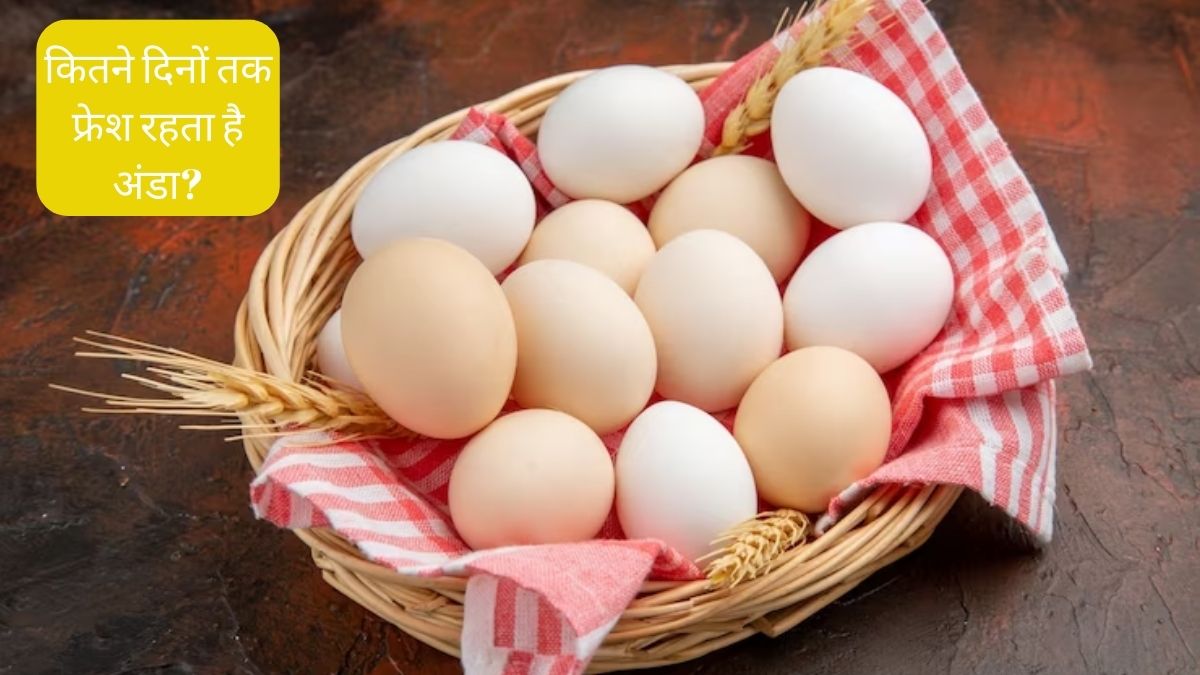 How long Eggs remains fresh know how to identify between rotten Or