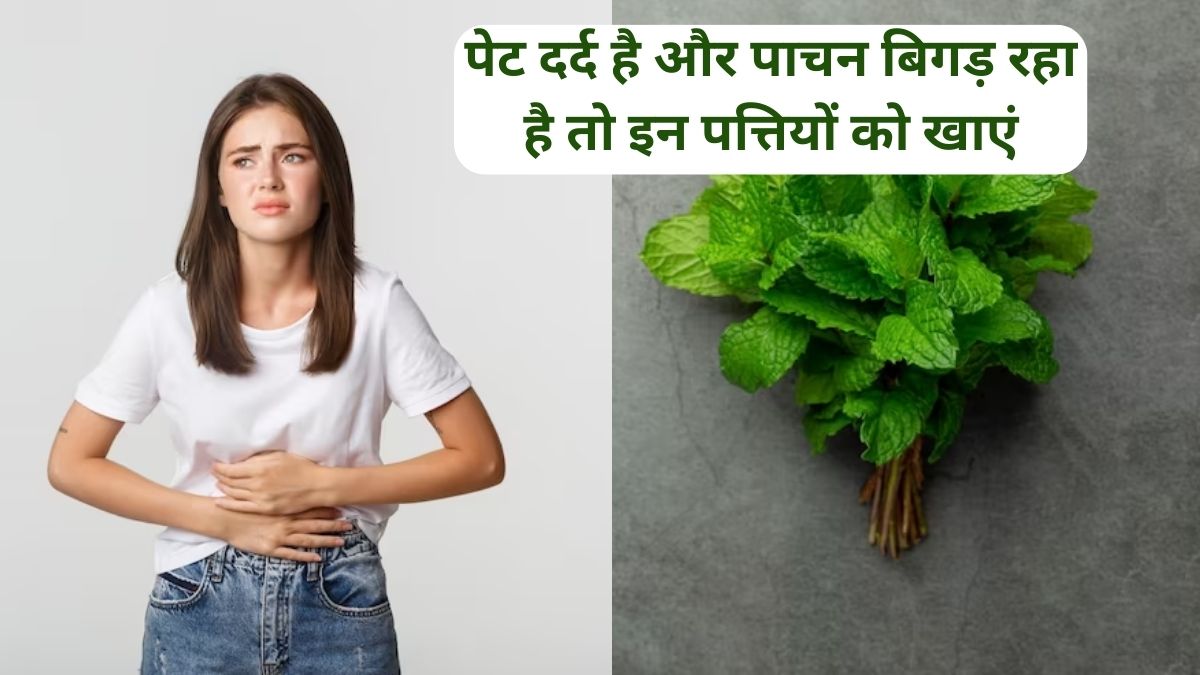 amazing benefits of mint for improve digestion,mint leaves can detox