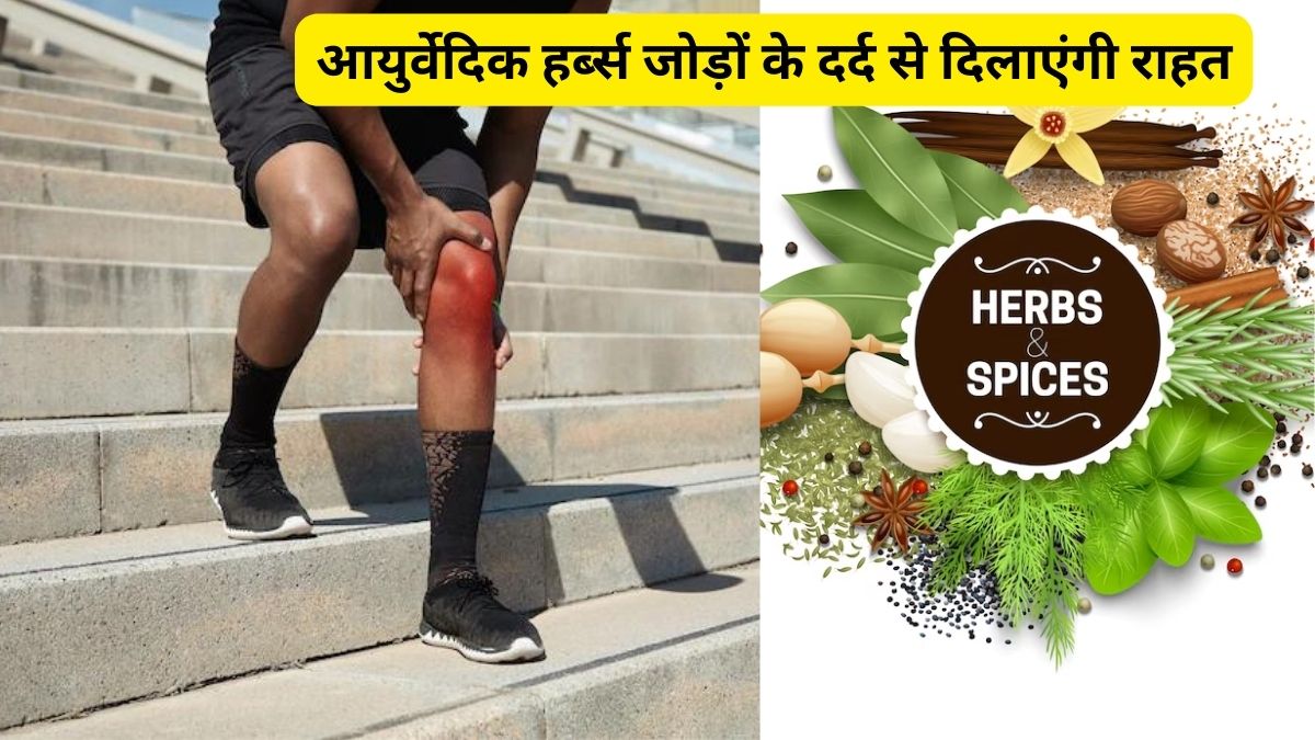 ayurvedic herbs to get rid of uric acid, gokhru,ashwagandha,fenugreak