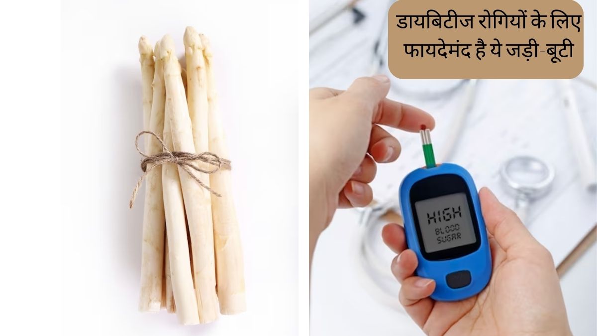 Asparagus Benefits for Diabetes shatavari ke fayde Asparagus extract