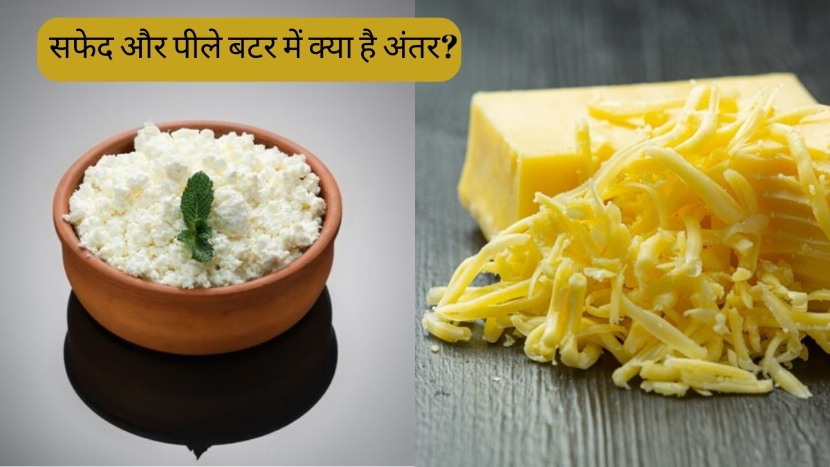 White Butter Vs Yellow Butter know Which Is Better For health And Why